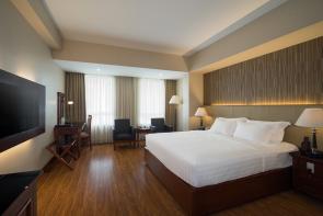 LUXURY KING CITY VIEW
