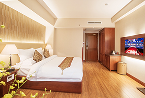 LUXURY KING CITY VIEW